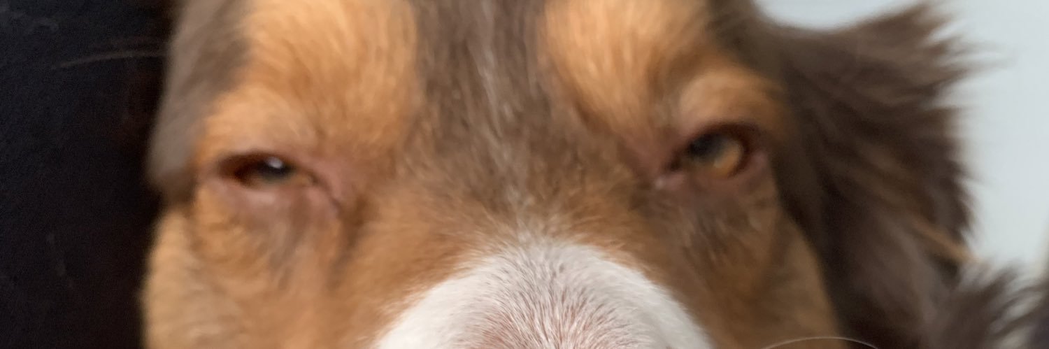 _Kamdawg's profile banner image
