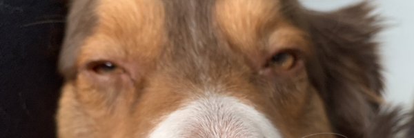 _Kamdawg Profile Banner