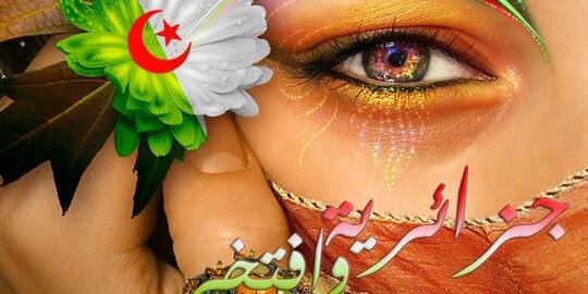 widadmeddour's profile banner image