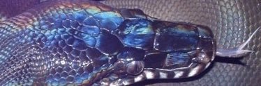 FridaEkstrm's profile banner image