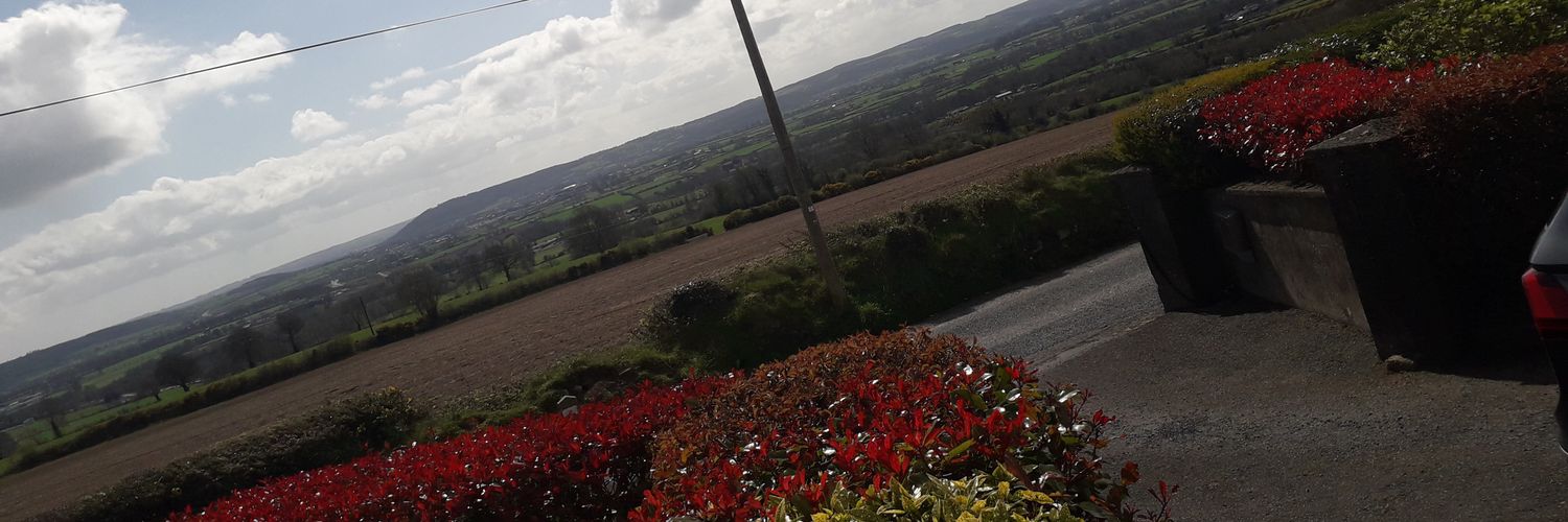 Bríd O'Riordan banner