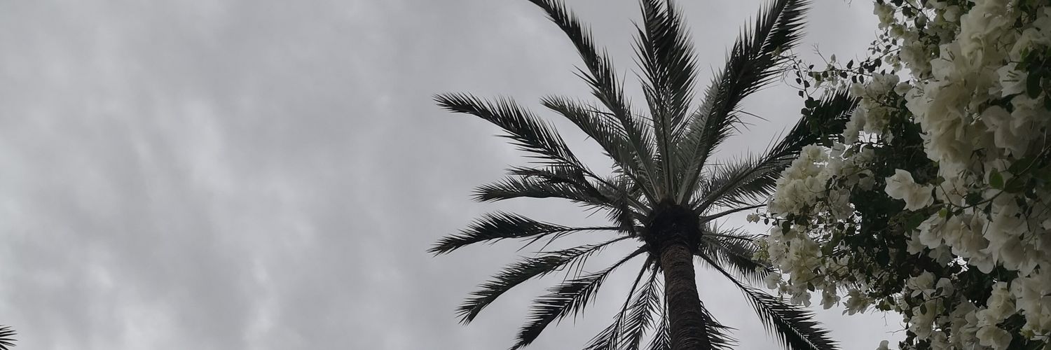 FalasiAl's profile banner image