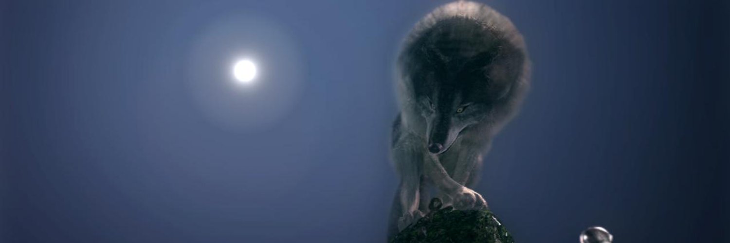 majenca's profile banner image