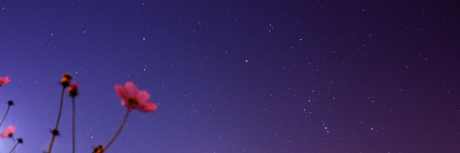 SelesteBinchy's profile banner image