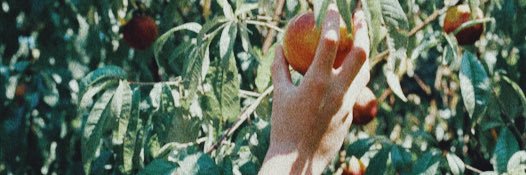 goldenavengers's profile banner image