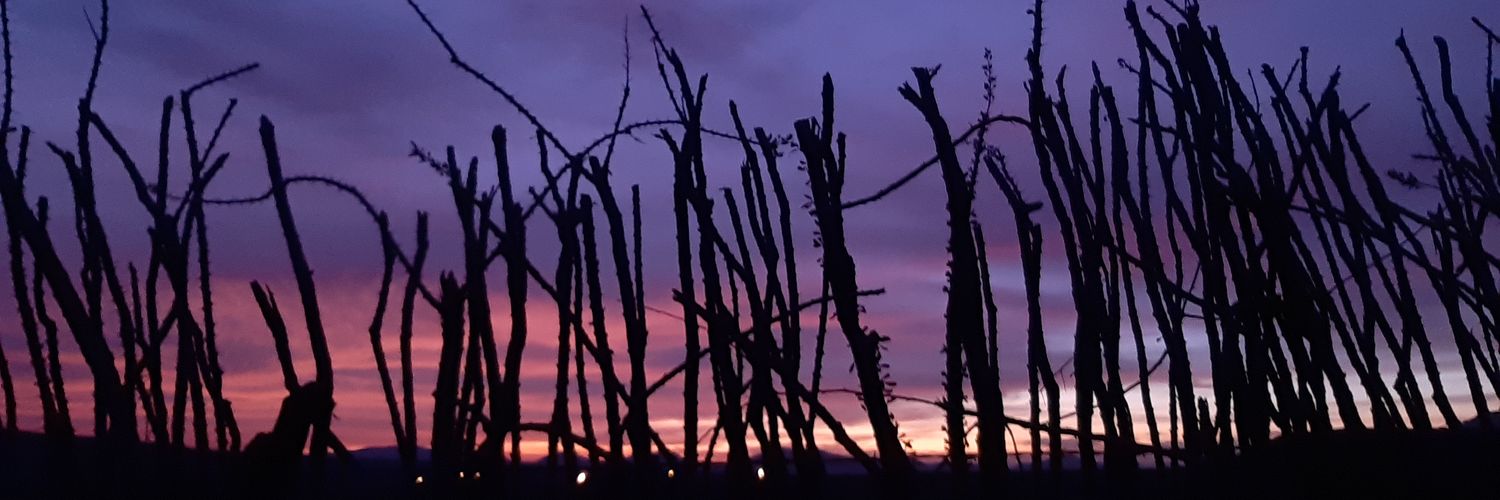 damacss's profile banner image
