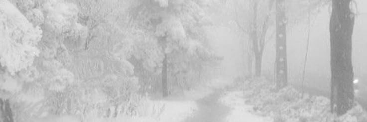 yhax_'s profile banner image