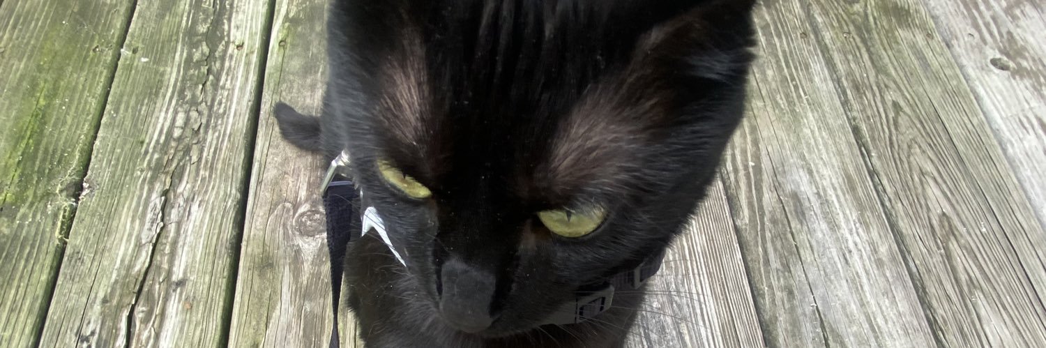 jmoneyow's profile banner image
