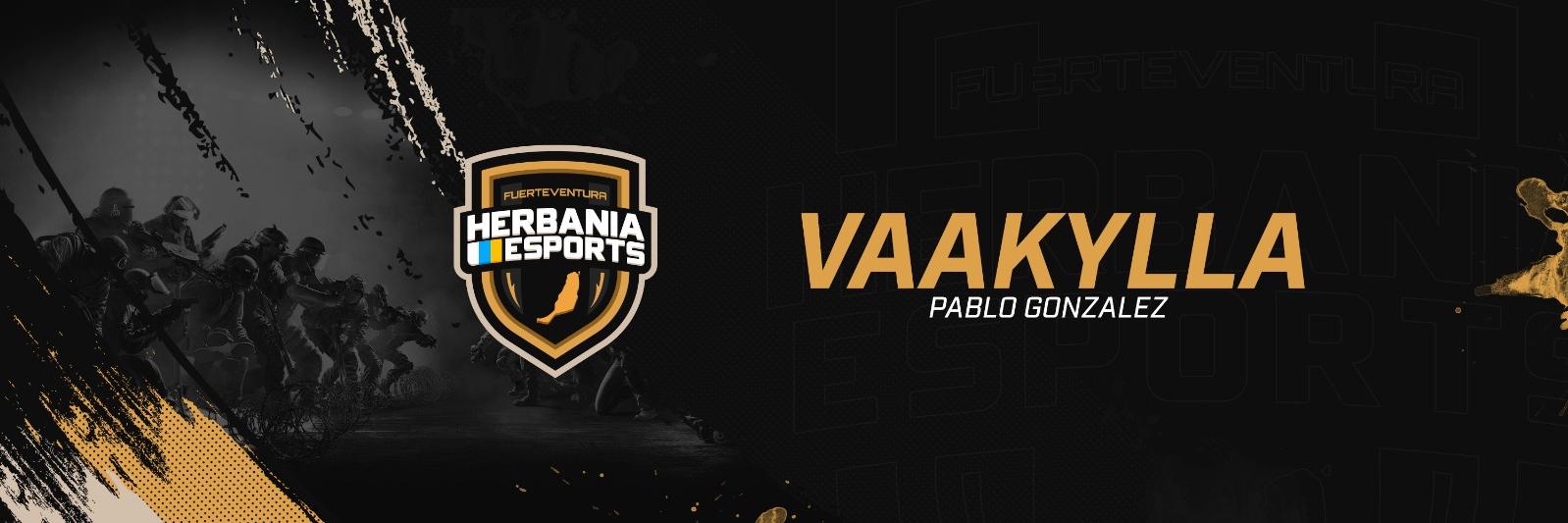 VaaKyLLa's profile banner image
