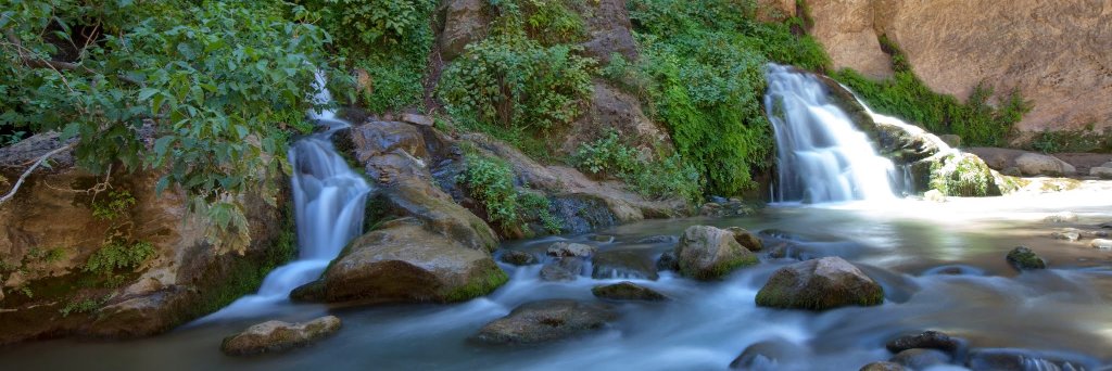 William Weadock, MD banner