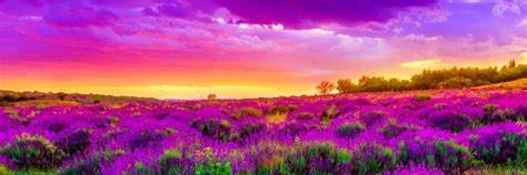 RobFiorenza's profile banner image