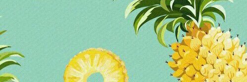 amyvanvlietx's profile banner image