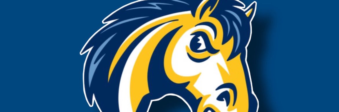 MavsVBall's profile banner image