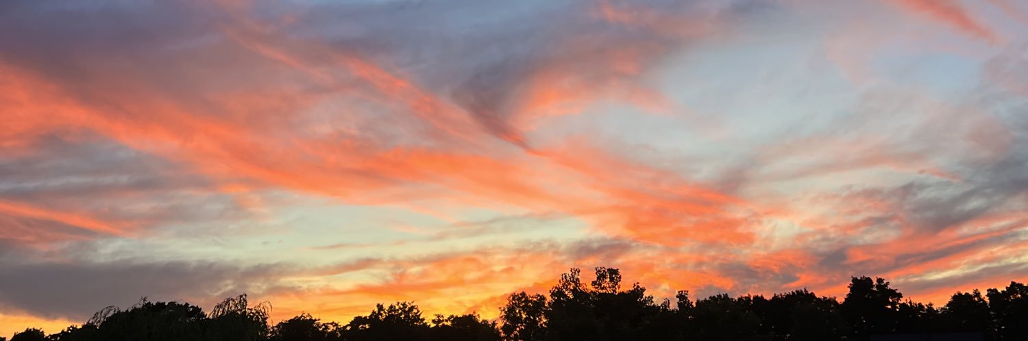 hann__3's profile banner image