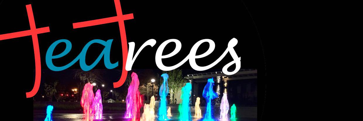 tea_trees777's profile banner image