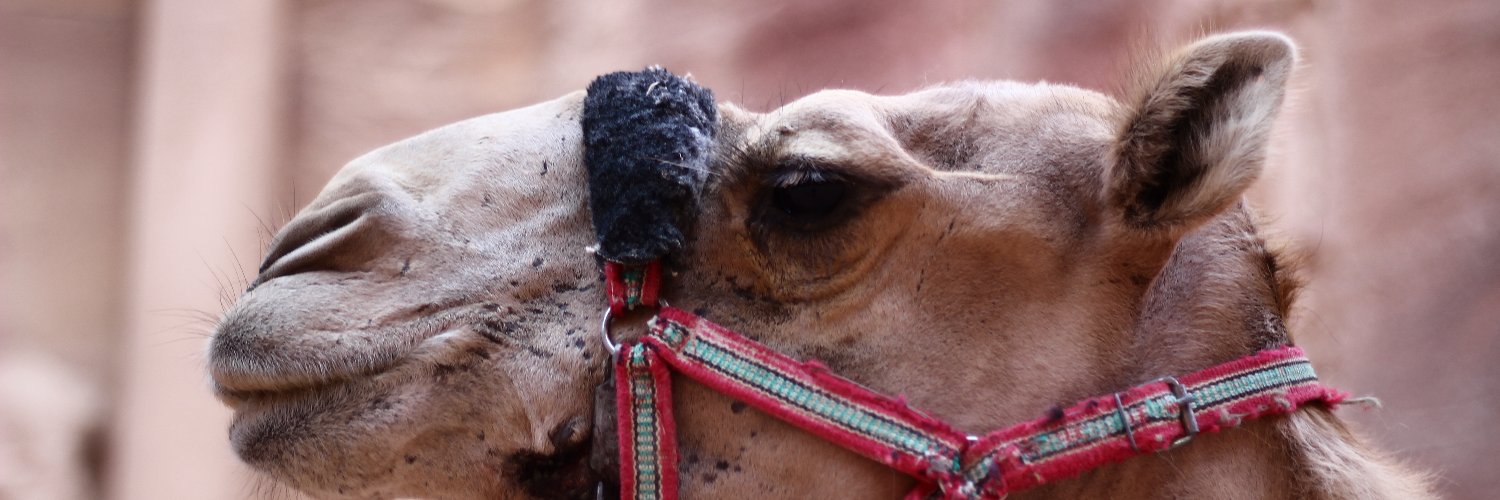 Gerge ألخوري 🇵🇸 banner