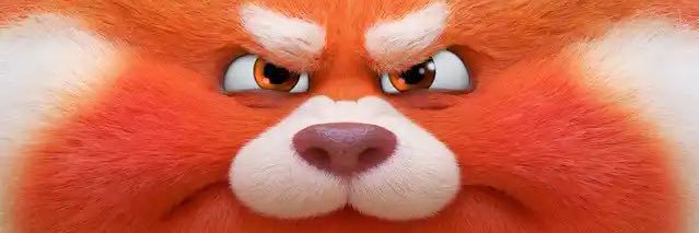 mita_roz's profile banner image