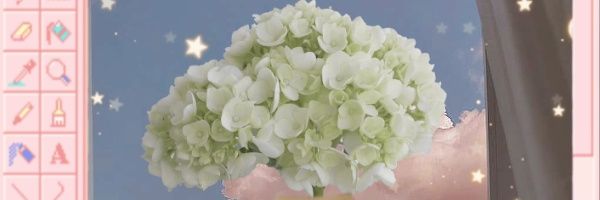 Vix 🌙 banner
