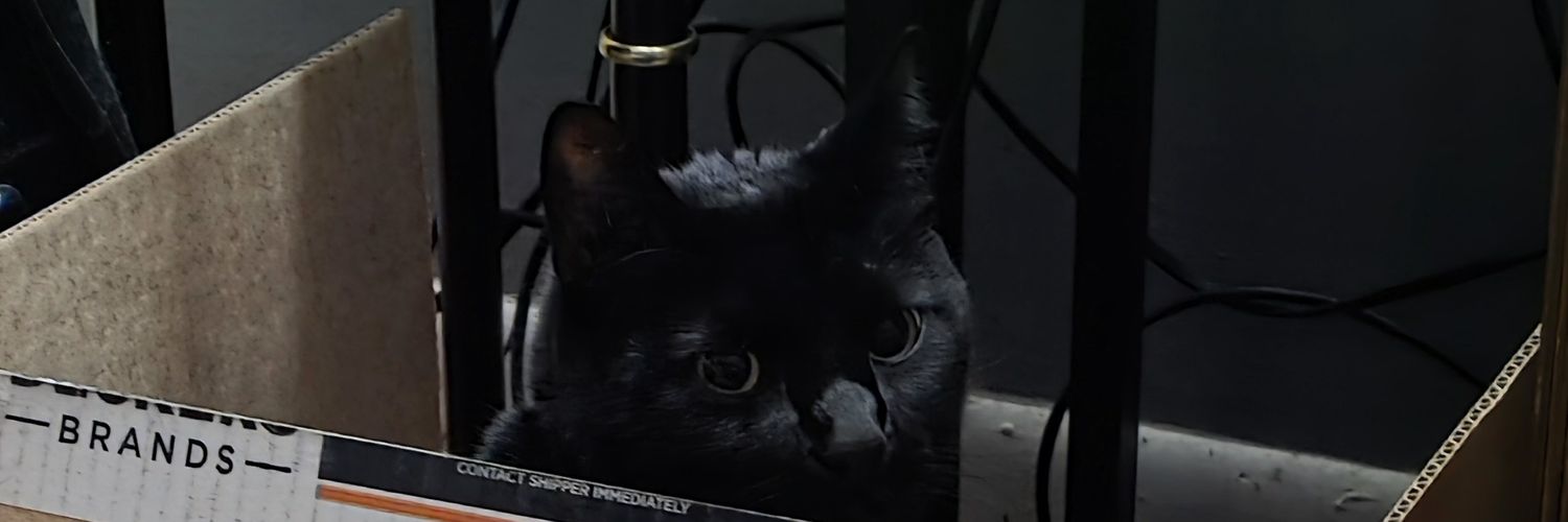 Joshmustlive's profile banner image