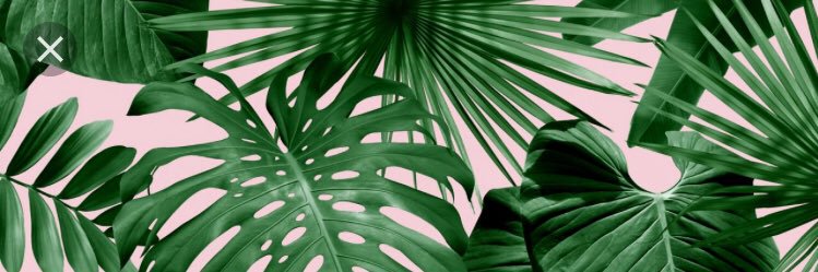 mairaaa18's profile banner image
