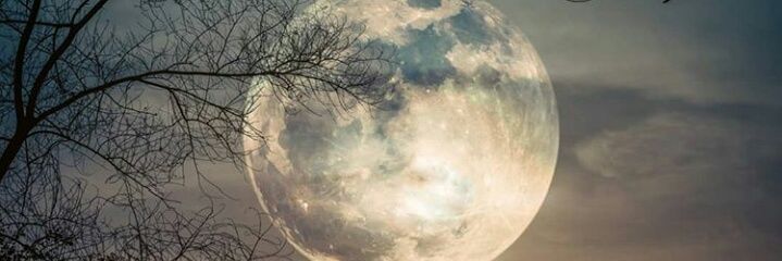 CaZamE27's profile banner image