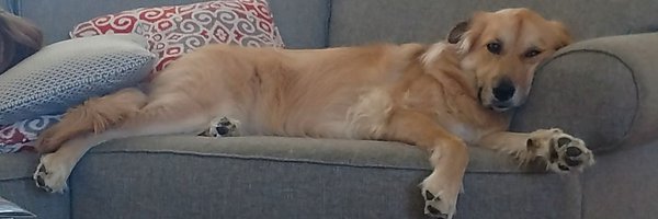 cbusrick Profile Banner