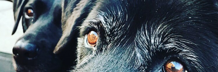 S_Dop's profile banner image