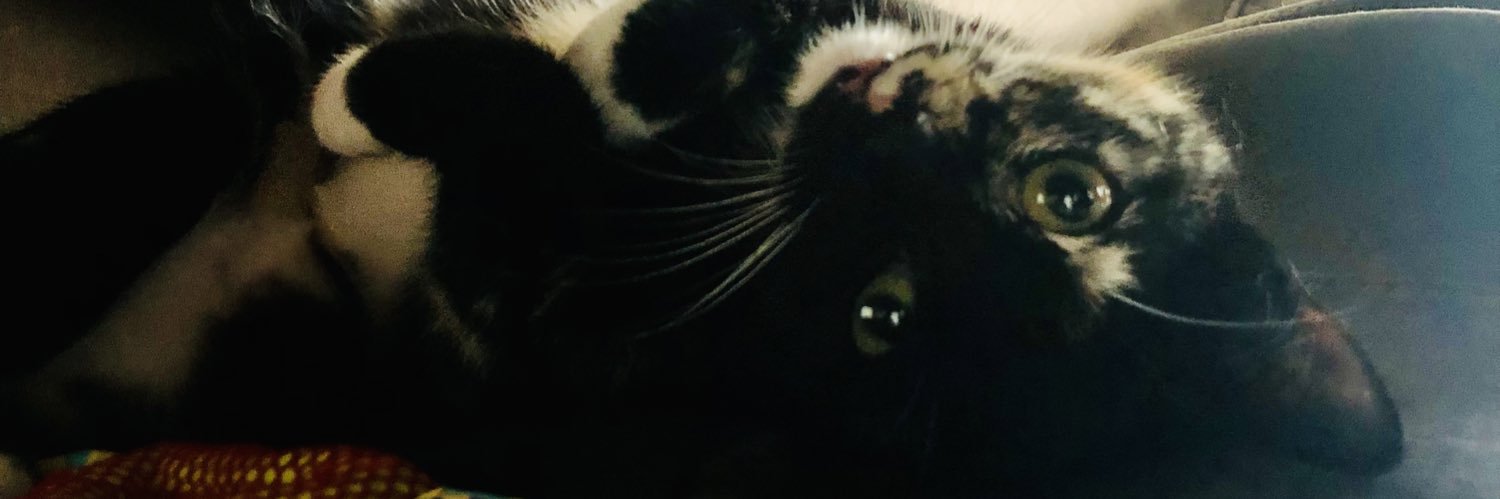 SilvanaCottone1's profile banner image