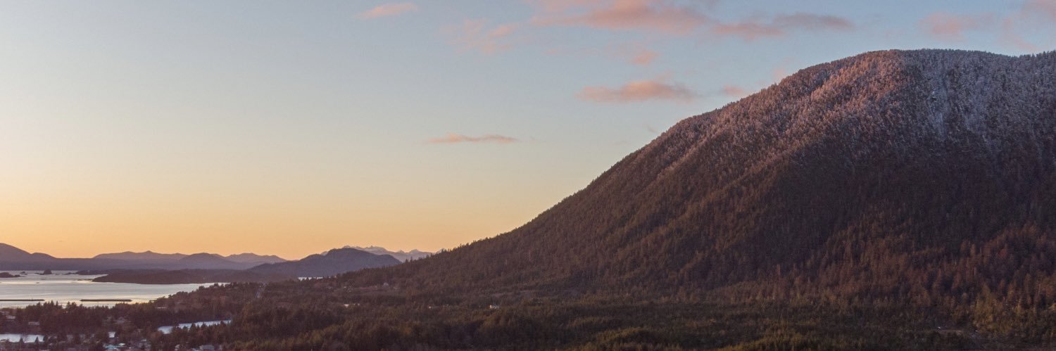 Cody Veritas🦌 banner