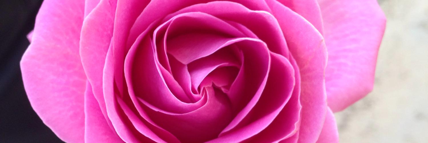 Annius_14's profile banner image