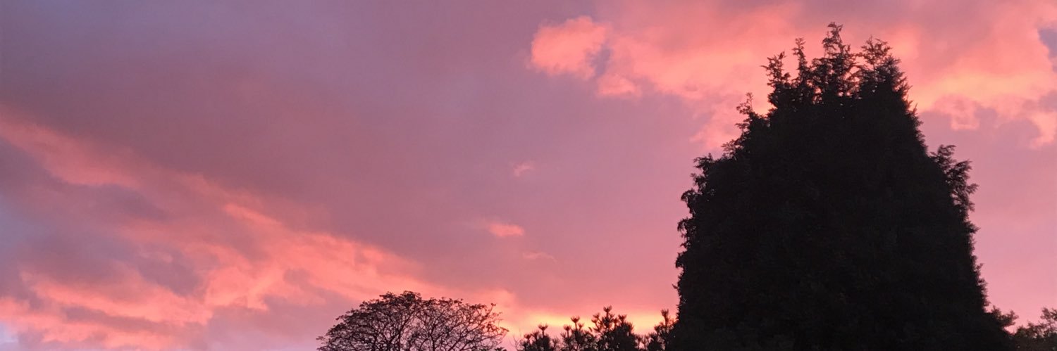 Patrick Chance 💙 🇫🇷 🇬🇧 banner