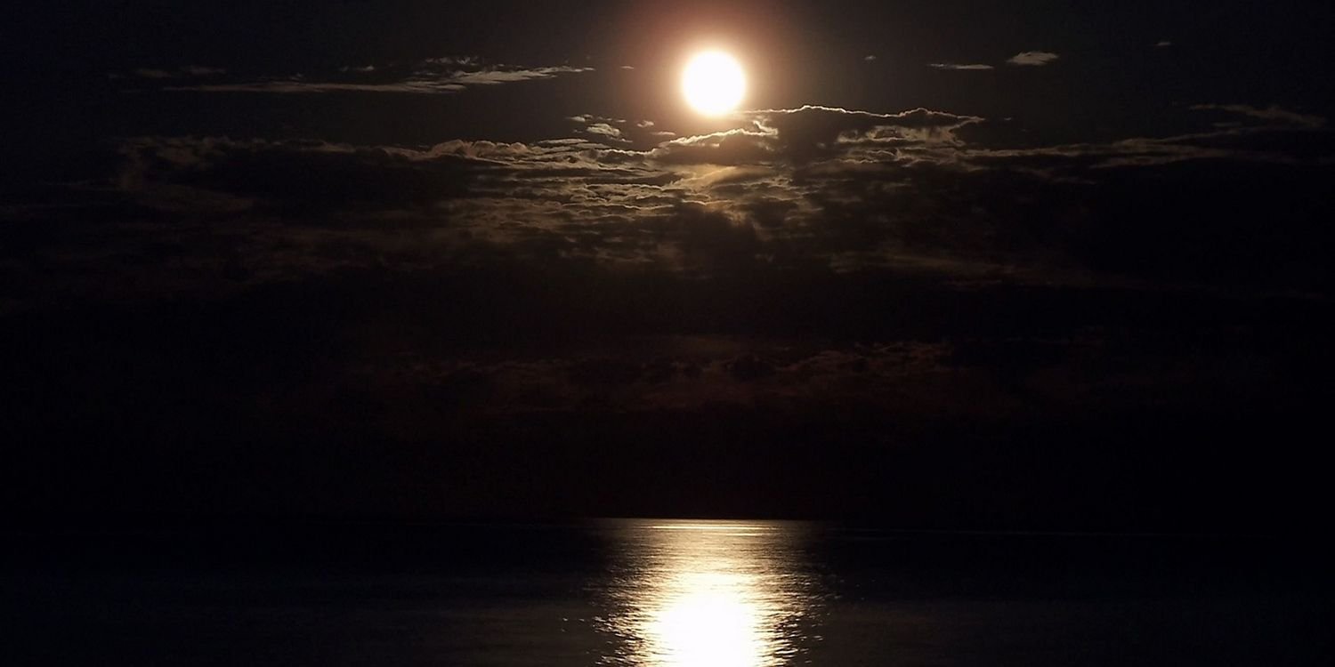 frankey08's profile banner image