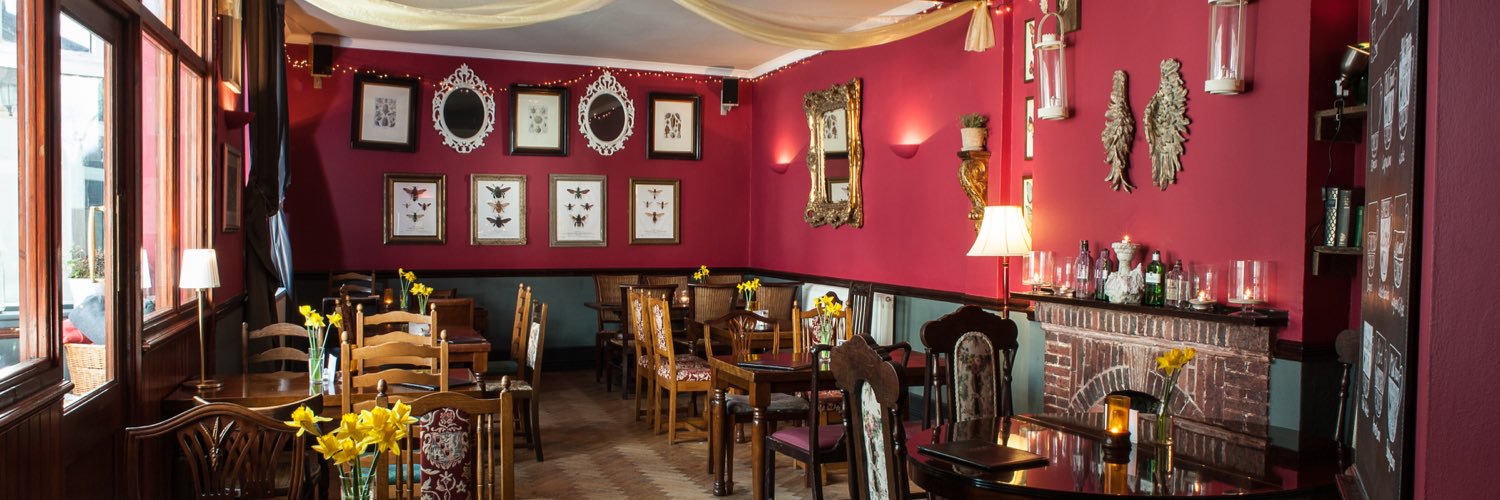 Dolphin_Pub's profile banner image
