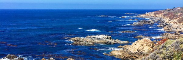 NOLAAlycat Profile Banner