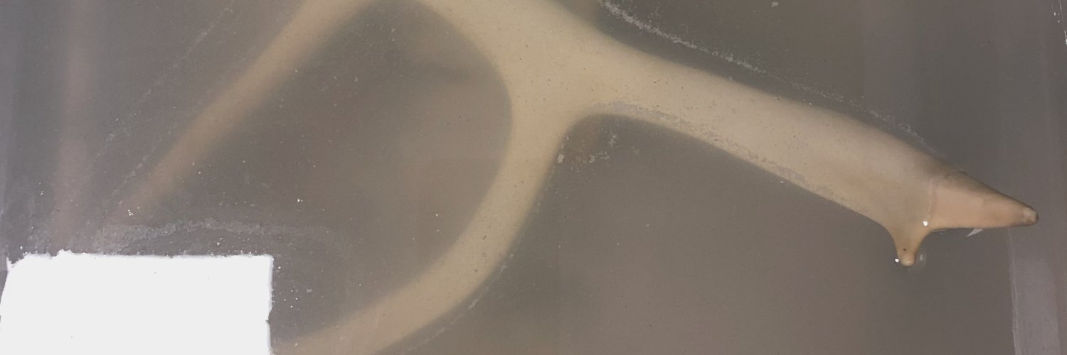 klejro's profile banner image