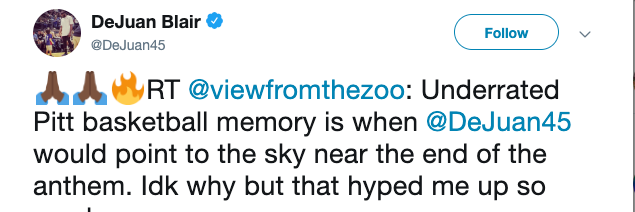 viewfromthezoo's profile banner image