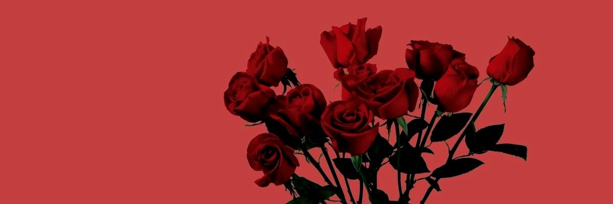 nwkjia's profile banner image
