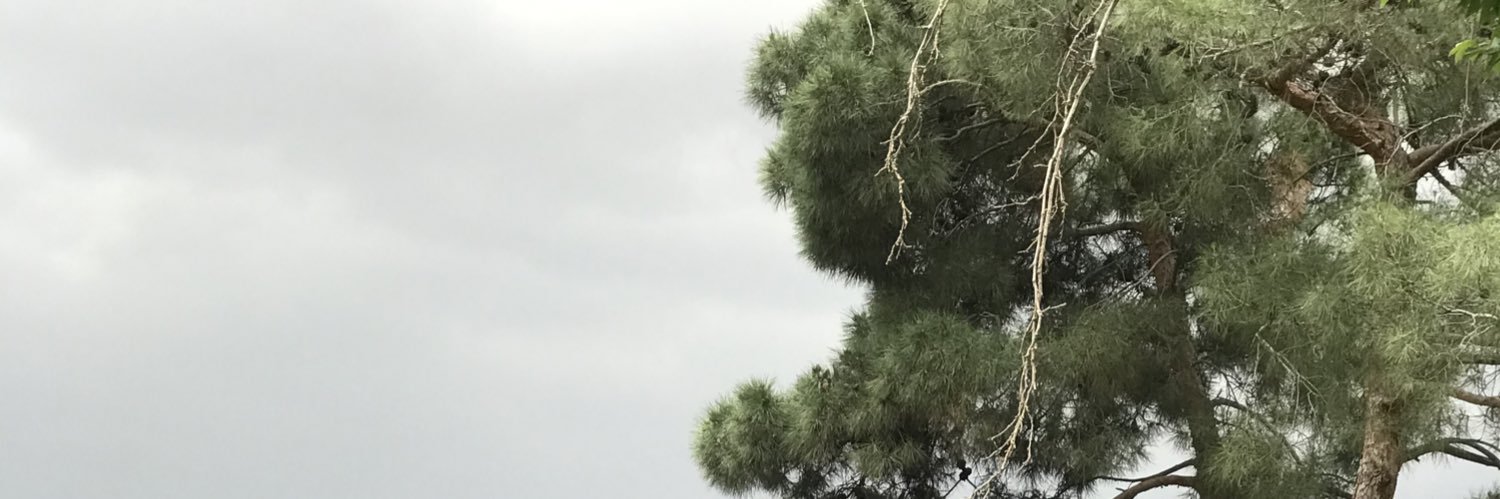 Truffle Marmite banner