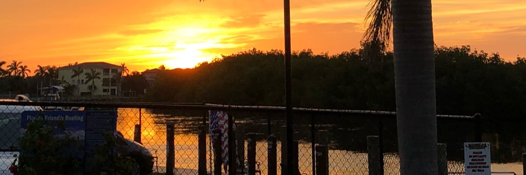 tdub1004's profile banner image