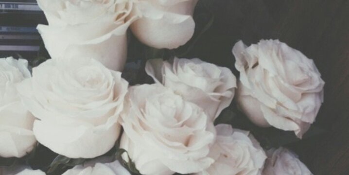 Cynthia_JP's profile banner image