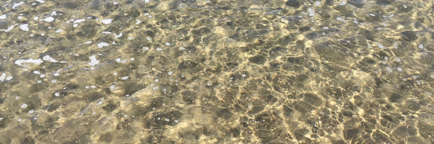 eseceese's profile banner image