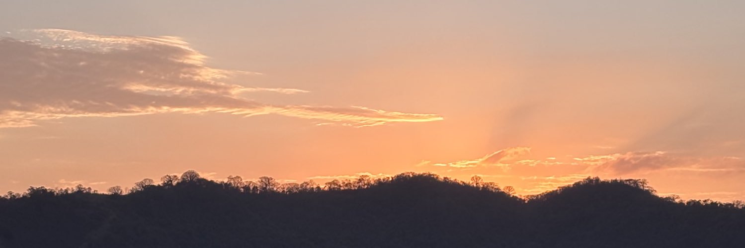 MilyMerchan's profile banner image