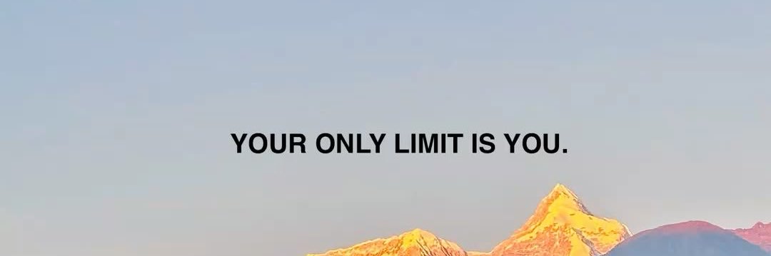 Birdvsbears's profile banner image