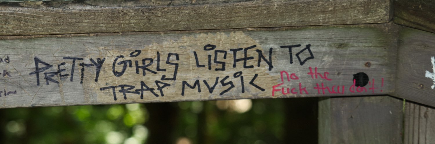 miichigangster's profile banner image