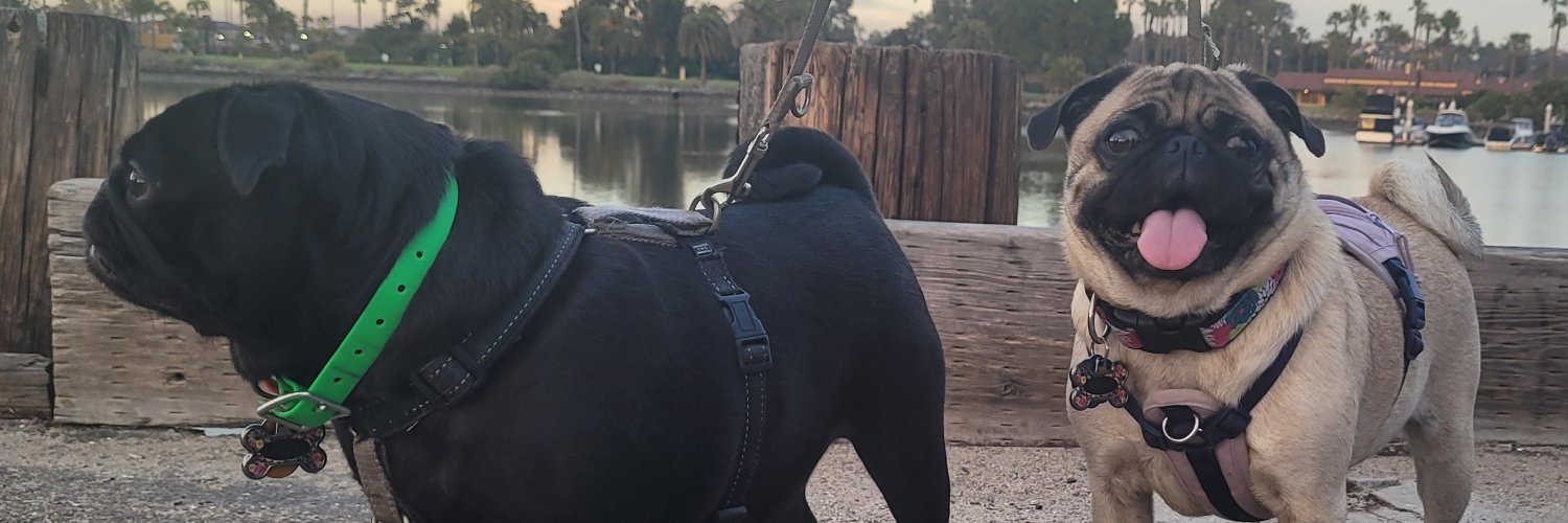 INDY_VIBE5's profile banner image