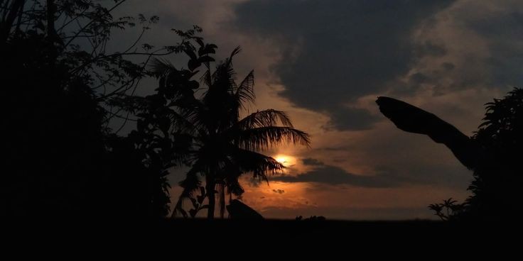 IvannL0pez's profile banner image