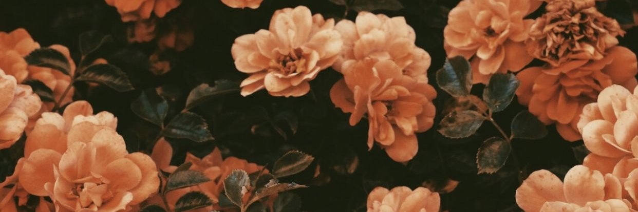 ketigurga's profile banner image