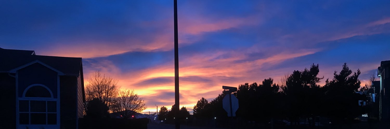 dewitt_caylee's profile banner image