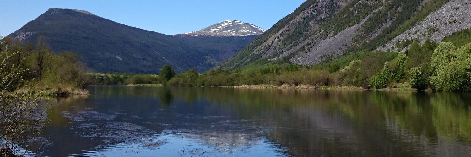 ESolstad's profile banner image