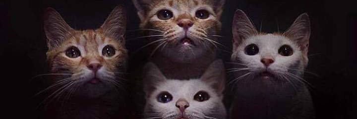 xDeyvyd's profile banner image